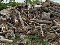 Partij hout - afbeelding 4 van  5