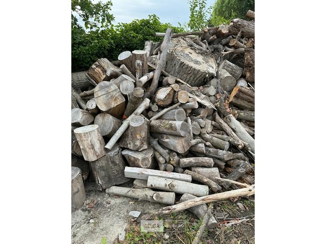 Partij hout - afbeelding 5 van  5
