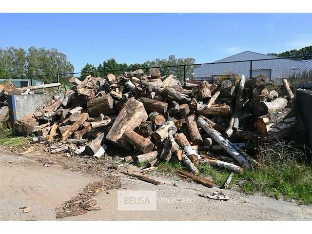 Partij hout - afbeelding 1 van  5