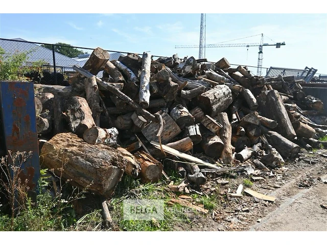 Partij hout - afbeelding 3 van  5