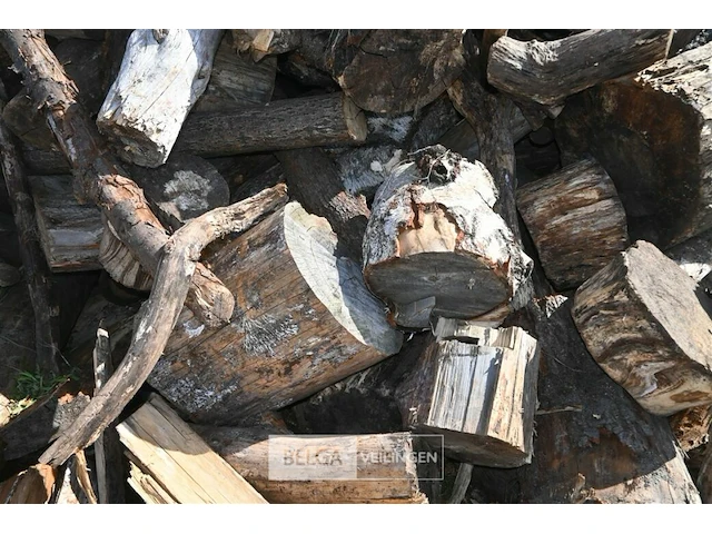 Partij hout - afbeelding 4 van  5