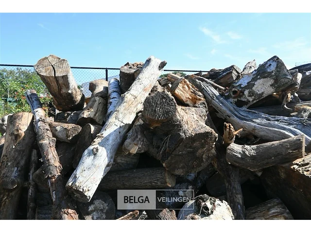 Partij hout - afbeelding 5 van  5