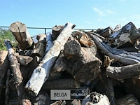 Partij hout - afbeelding 5 van  5