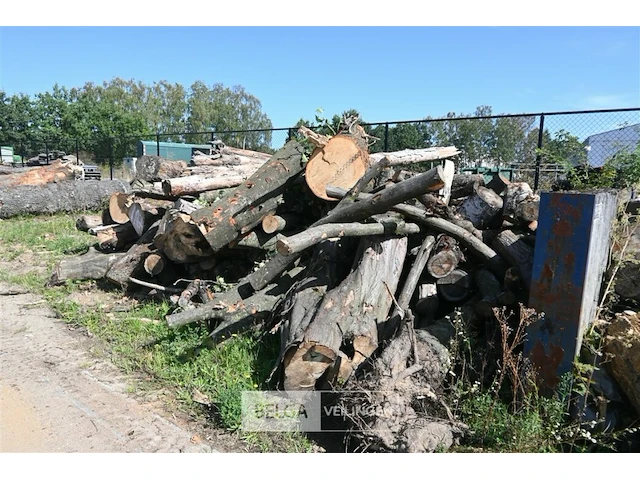 Partij hout - afbeelding 1 van  5