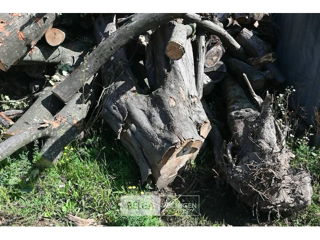 Partij hout - afbeelding 2 van  5