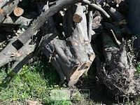 Partij hout - afbeelding 2 van  5