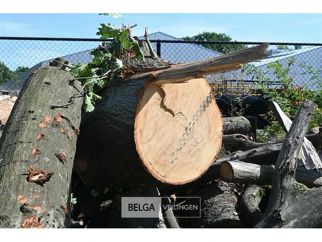 Partij hout - afbeelding 3 van  5