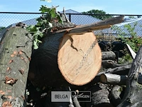 Partij hout - afbeelding 3 van  5