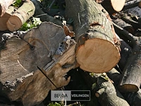 Partij hout - afbeelding 4 van  5
