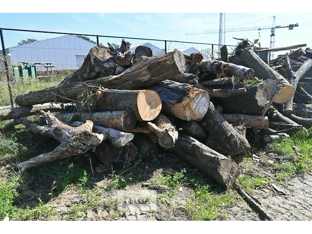 Partij hout - afbeelding 5 van  5