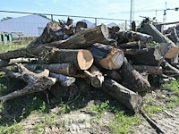 Partij hout - afbeelding 5 van  5