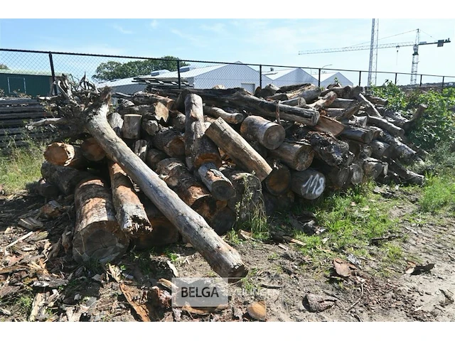 Partij hout - afbeelding 1 van  4