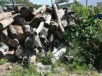 Partij hout - afbeelding 2 van  4