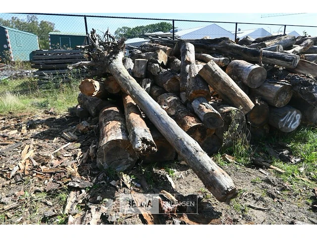 Partij hout - afbeelding 3 van  4