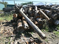 Partij hout - afbeelding 3 van  4