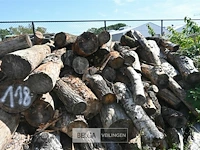 Partij hout - afbeelding 4 van  4