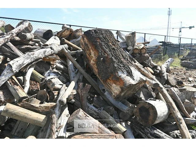 Partij hout - afbeelding 4 van  5
