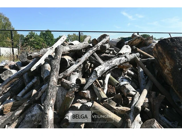 Partij hout - afbeelding 5 van  5