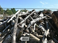 Partij hout - afbeelding 5 van  5
