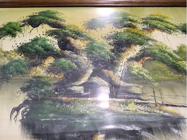 Partij kaders (x8) - afbeelding 9 van  11