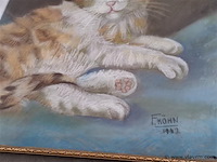 Partij kaders - afbeelding 4 van  5