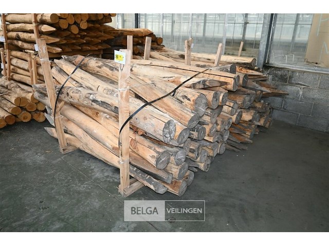 Partij kastanjehouten palen - afbeelding 1 van  5