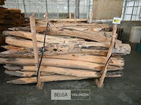 Partij kastanjehouten palen - afbeelding 2 van  5
