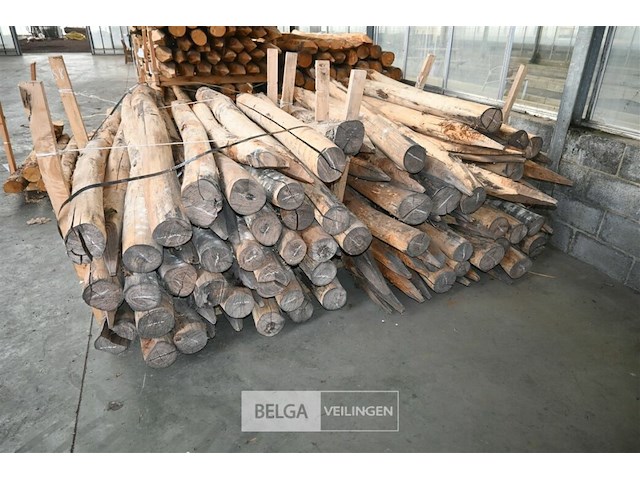 Partij kastanjehouten palen - afbeelding 3 van  5