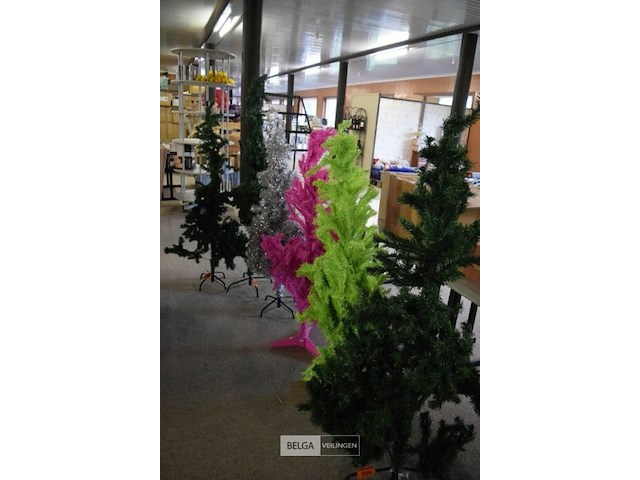 Partij kerstbomen - afbeelding 1 van  5