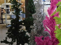 Partij kerstbomen - afbeelding 2 van  5