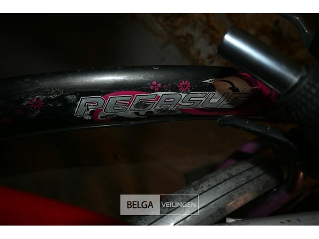 Partij kinderfietsen - afbeelding 5 van  5