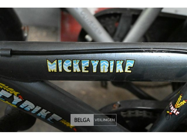 Partij kinderfietsen - afbeelding 3 van  4