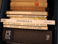 Partij kunstboeken - afbeelding 6 van  7