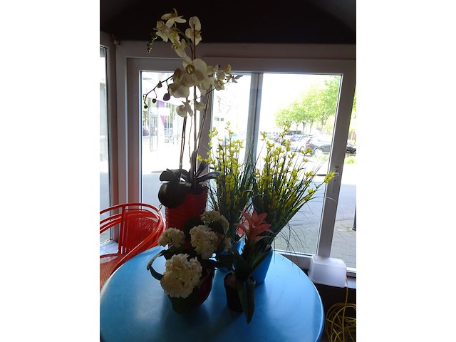 Partij kunstof planten - afbeelding 1 van  1