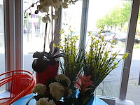 Partij kunstof planten - afbeelding 1 van  1