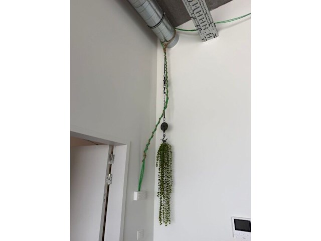 Partij kunstplanten en decoratie - afbeelding 3 van  11