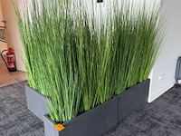 Partij kunstplanten en decoratie