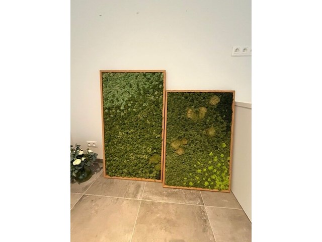 Partij kunstplanten en decoratie - afbeelding 6 van  11