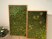 Partij kunstplanten en decoratie - afbeelding 6 van  11