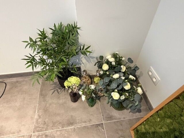 Partij kunstplanten en decoratie - afbeelding 7 van  11