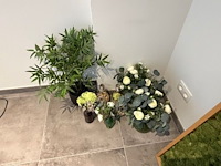 Partij kunstplanten en decoratie - afbeelding 7 van  11