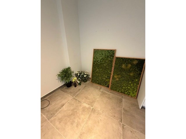 Partij kunstplanten en decoratie - afbeelding 8 van  11