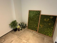 Partij kunstplanten en decoratie - afbeelding 8 van  11