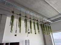 Partij kunstplanten en decoratie - afbeelding 10 van  11