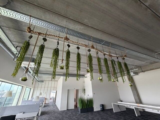 Partij kunstplanten en decoratie - afbeelding 11 van  11