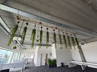 Partij kunstplanten en decoratie - afbeelding 11 van  11