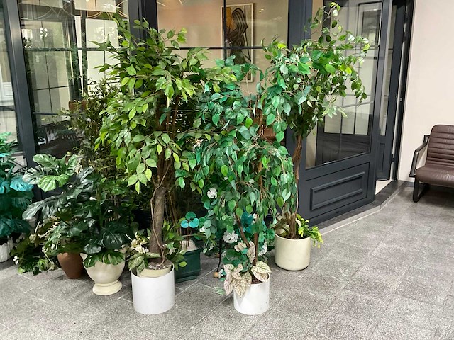 Partij kunstplanten met pot - afbeelding 1 van  2