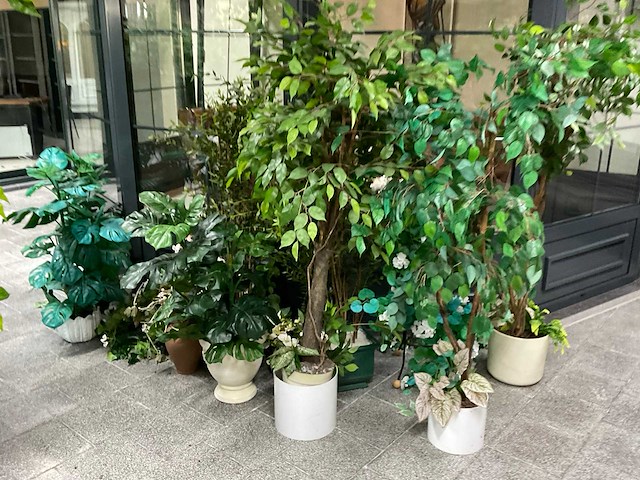 Partij kunstplanten met pot - afbeelding 2 van  2