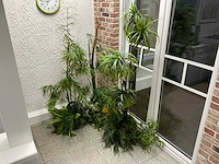 Partij kunstplanten met pot - afbeelding 1 van  1