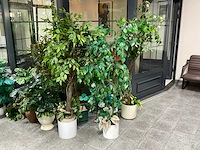 Partij kunstplanten met pot - afbeelding 1 van  2